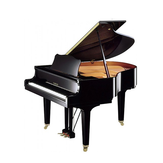 Yamaha GB1